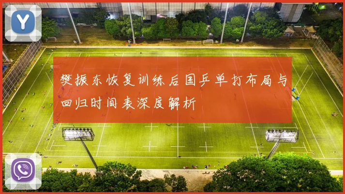 樊振东恢复训练后国乒单打布局与回归时间表深度解析